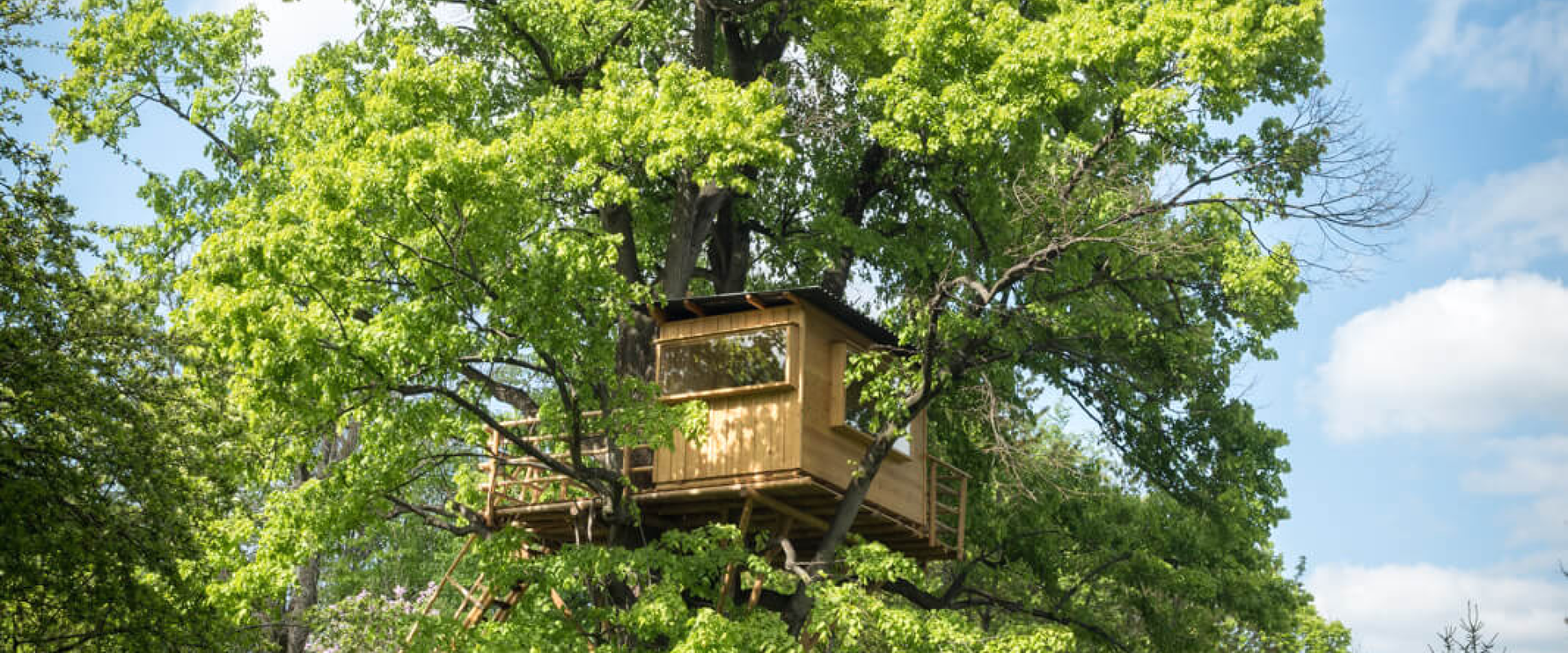 Baumhaus Krumbach Cover Bild